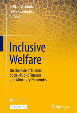 BINS-Inclusive-welfare.png